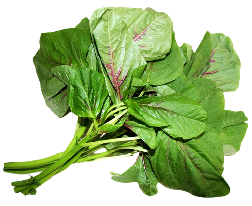 spinach amaranthus viridis amaranthus dubius love lies bleeding chard amaranth leaves 4c19f78ba51aae.png