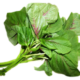 spinach amaranthus viridis amaranthus dubius love lies bleeding chard amaranth leaves 4c19f78ba51aae