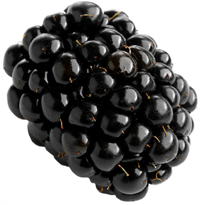 5bbd8f880de09 ecbb751c3964a8845c4d1dd58bdde6c1.png