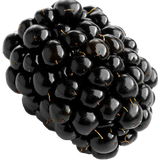 5bbd8f880de09 ecbb751c3964a8845c4d1dd58bdde6c1