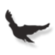 9.png
