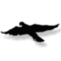 10.png
