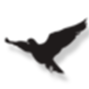 3.png
