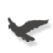 7.png