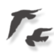 8.png