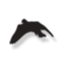 11.png