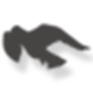 12.png