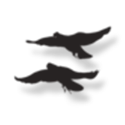 4.png