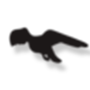 5.png