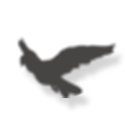 6.png