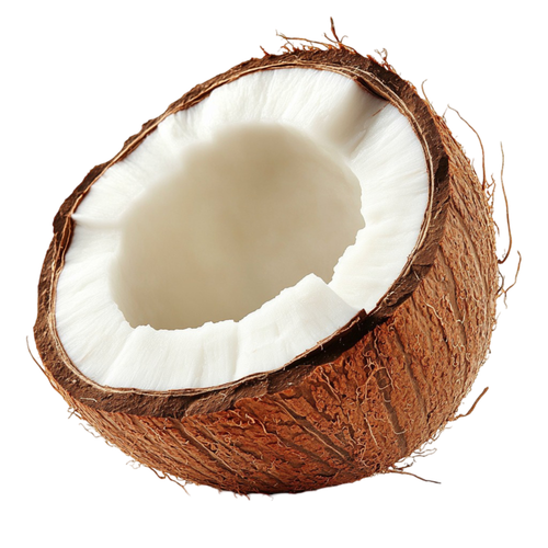 —Pngtree—coconut fruit 16274438.png