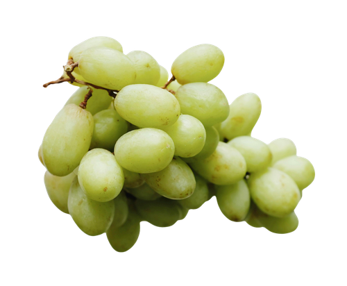 Grapes 916.png