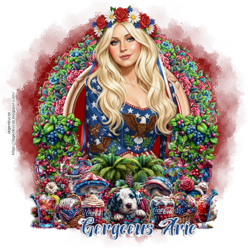 anerican girl cluster Gorgeous Arie.png