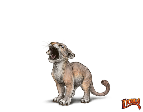lioden wardrobe (3).png
