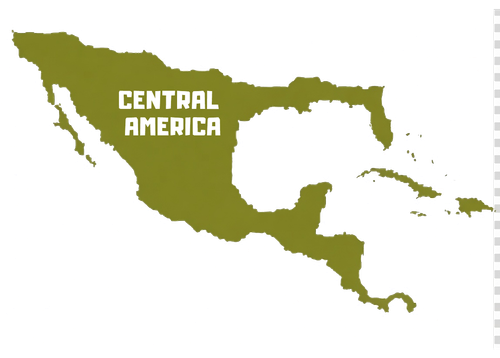 CENTRALAM.png