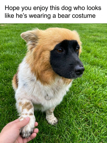 download 2026 07 04T195518.281.png