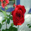 127d27cde584.jpg