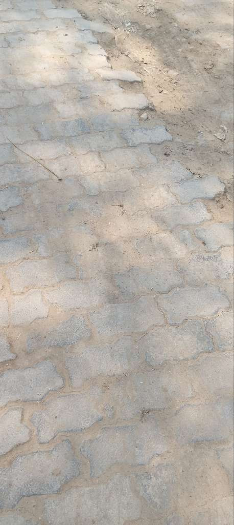c6cd7aa39bc4.jpg