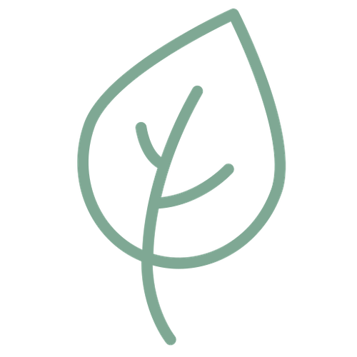 hoja.png