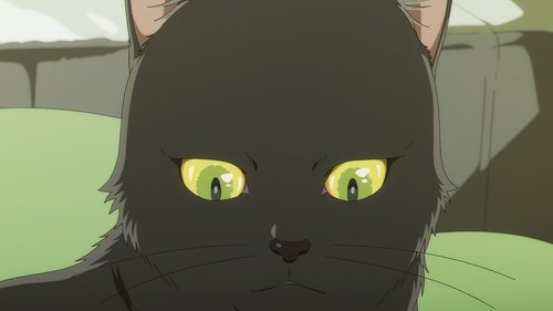 ss 01.png