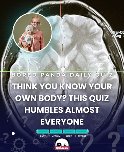 EXPERT.png