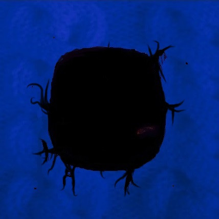 artblue head.jpg