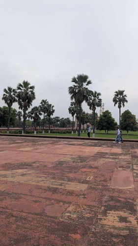 d84be1308c6f.jpg