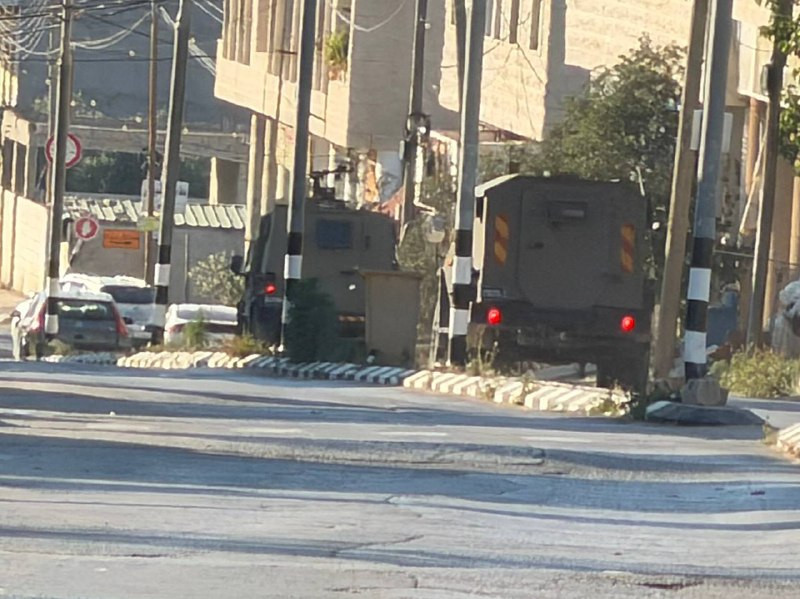 صورة الخبر
