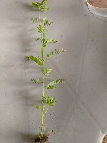 6cedb7d41403.jpg