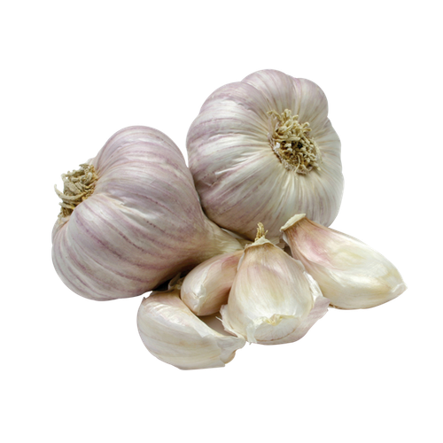 garlic onion food wholesale spice garlic ca1c2c679c9e6330a89901b5559ed121.png