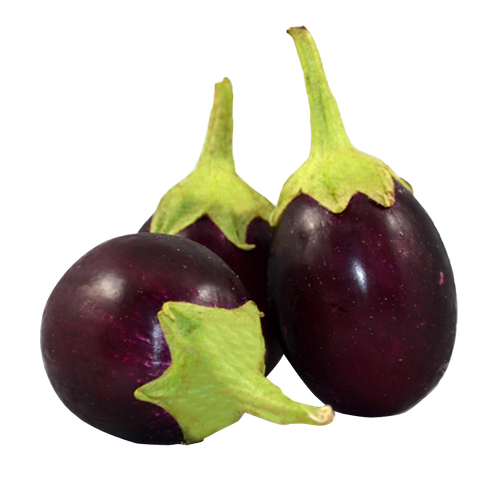 eggplant jalebi tomato urdu dish fresh brinjal de208c4cbc5ae44f6aa2e6448a4ee71f.png