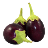 eggplant jalebi tomato urdu dish fresh brinjal de208c4cbc5ae44f6aa2e6448a4ee71f