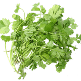 coriander ascorbic acid tea herb seed coriander d1b778751f7c686020ce1cadf78036da