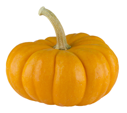 pumpkin pie calabaza pumpkin b764f8f56ade90899f469be977346468.png