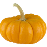 pumpkin pie calabaza pumpkin b764f8f56ade90899f469be977346468
