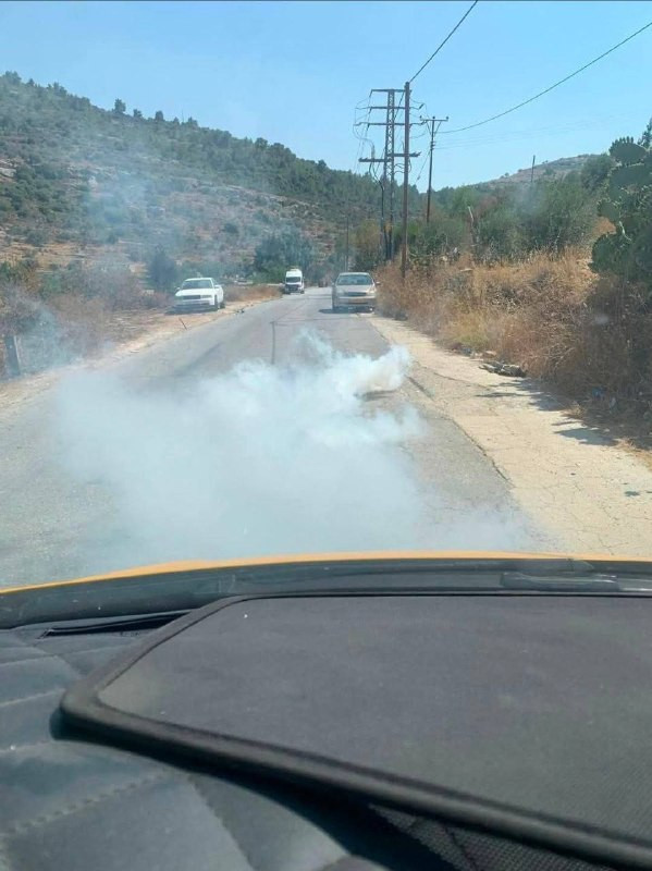 صورة الخبر