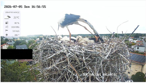 MWSnap730.jpg
