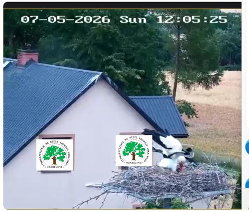 MWSnap783.jpg