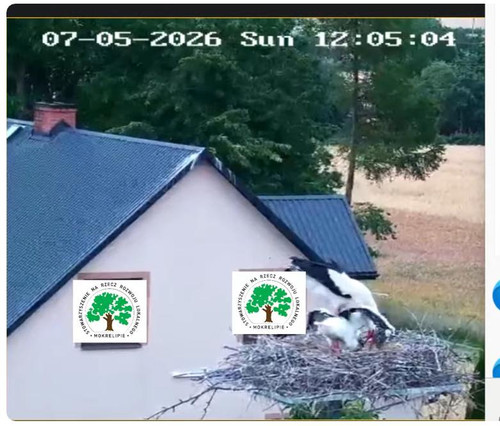 MWSnap782.jpg