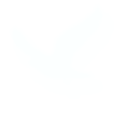 1ri.png