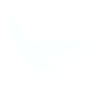 9ri.png