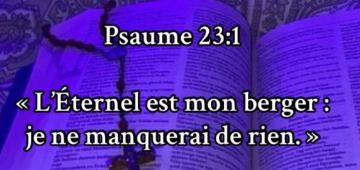 temp.png