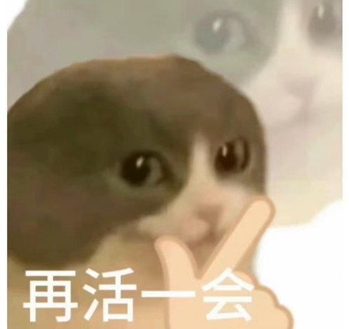 1783184454087.jpg