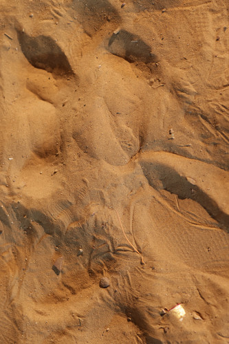 3O6A1673.jpg