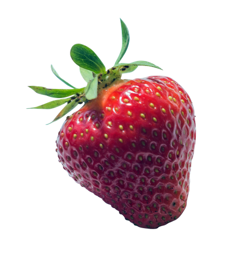 Strawberry Fresh Fruit Red Berry 1140.png