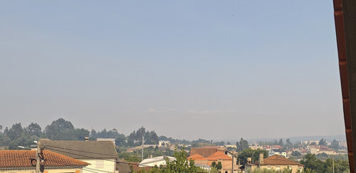 IMG 20260704 181350.jpg