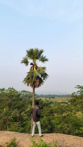 72f59373cf8b.jpg