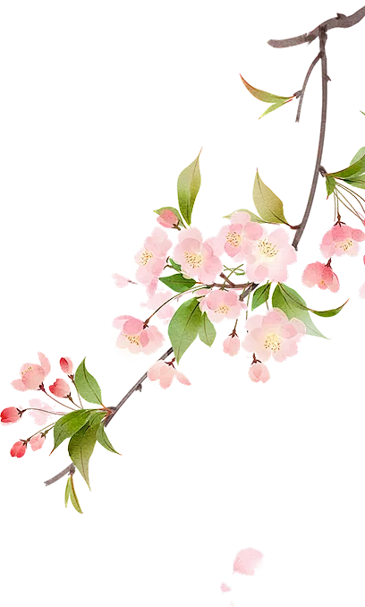 huaban 7003681379.webp