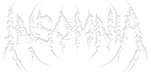 Logo Biseau.png