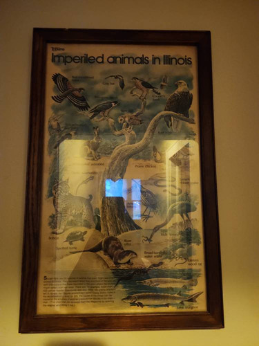 8fd1591df5d8.jpg